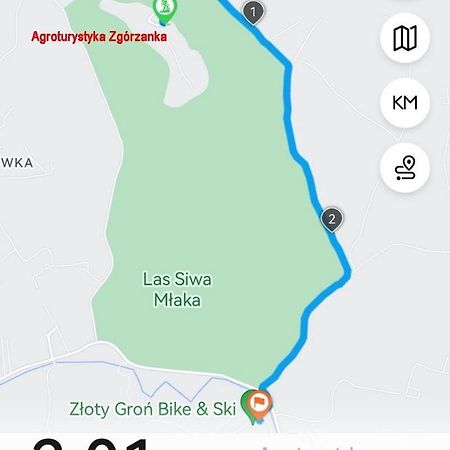 Willa Zgorzanka Istebna Zewnętrze zdjęcie