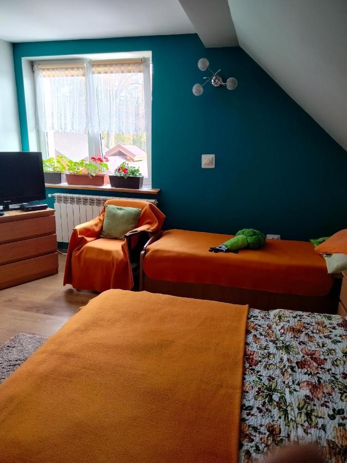 Willa Zgorzanka Istebna Zewnętrze zdjęcie